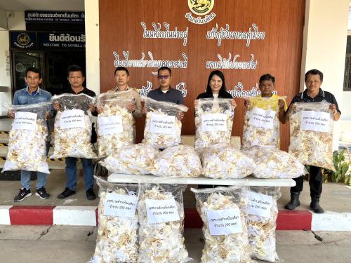 พช.โนนศิลา : ร่วมรับมอบดอกไม้จันทน์จากเทศบาลตำบลโนนศิลา เนื่องในพระราชพิธีถวายพระเพลิงพระบรมศพ สมเด็จพระนางเจ้าสิริกิติ์ พระบรมราชินีนาถ พระบรมราชชนนีพันปีหลวง